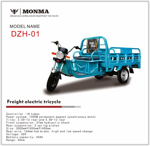 Electric Cargo Tricycle DZH-01