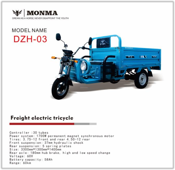 Electric Cargo Tricycle DZH-03