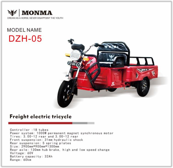 Electric Cargo Tricycle DZH-05