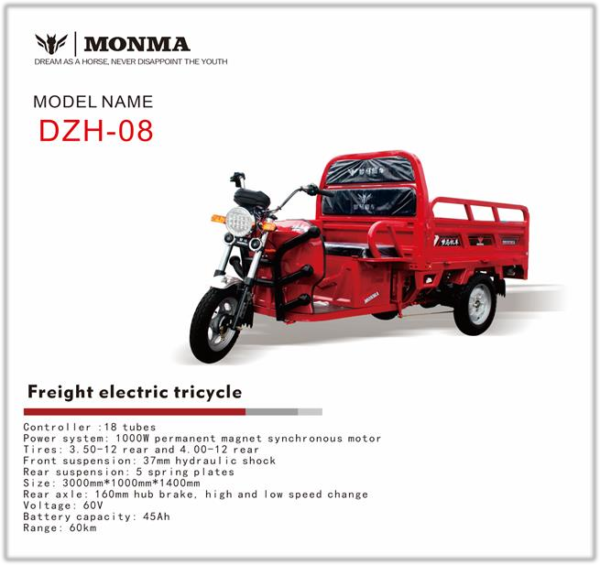 Tricycle électrique de transport DZH-08