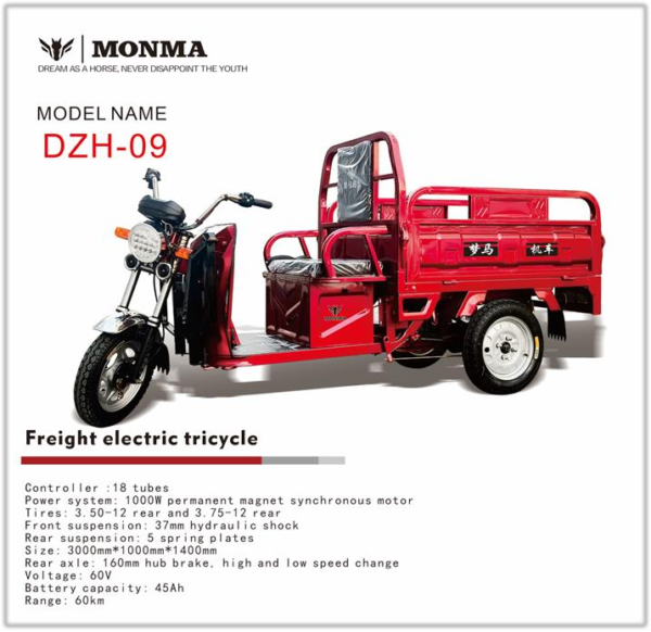 Electric Cargo Tricycle DZH-09