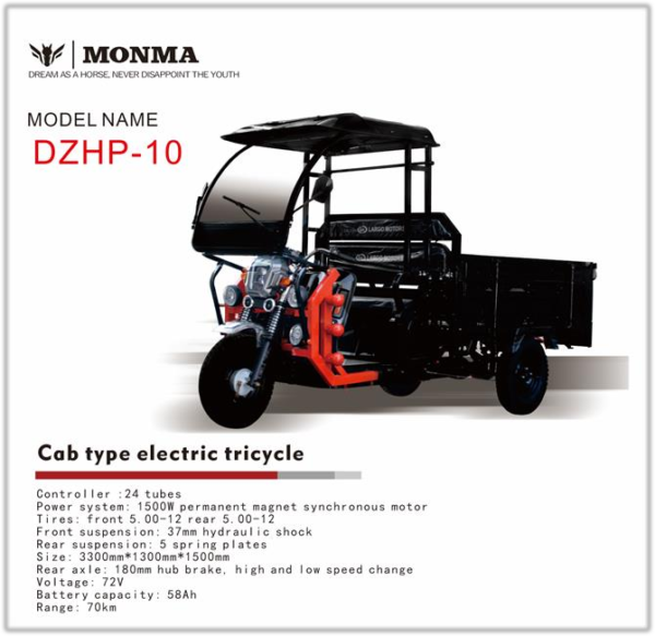 Electric Cargo Tricycle DZHP-10